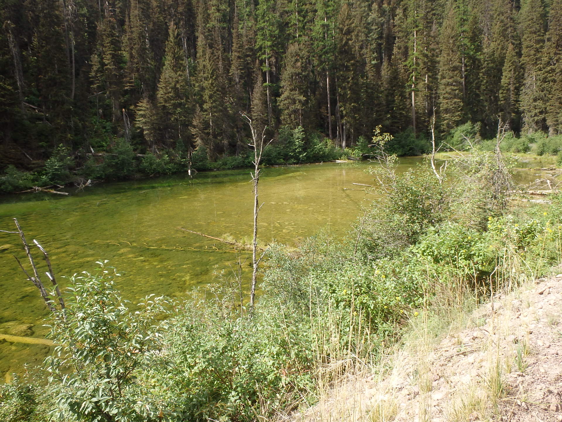 GDMBR: One of the Cottonwood Lakes, Montana.